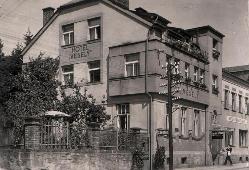 酒店 Penzion Vesely