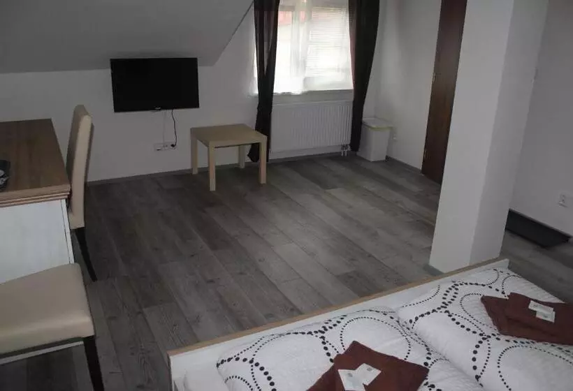 Hotelli Penzion Vesely