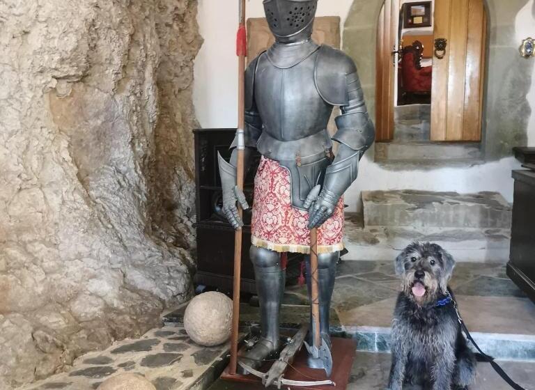 تختخواب و صبحانه Burg Hermannstein Monks Room