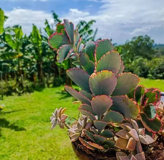 Hotelli El Paraiso Campestre
