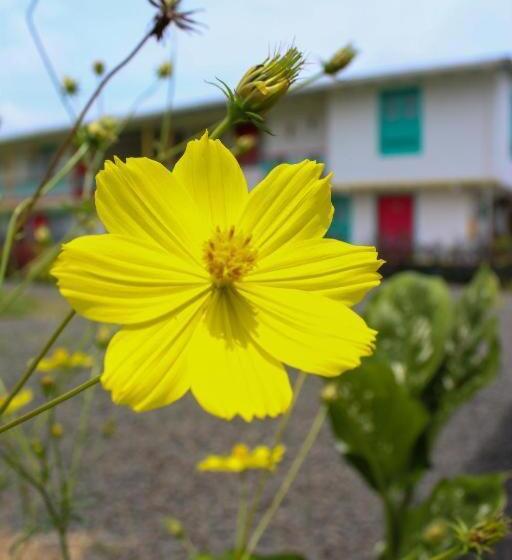 هتل El Paraiso Campestre