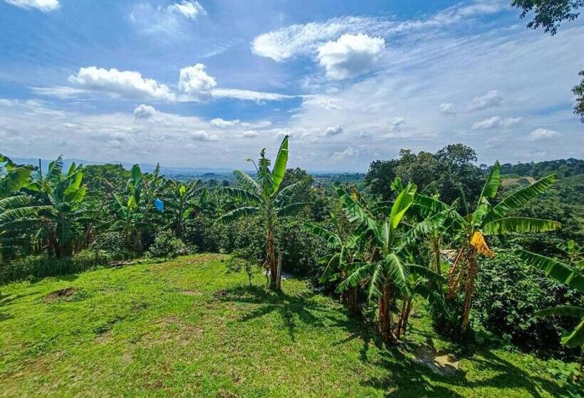 هتل El Paraiso Campestre