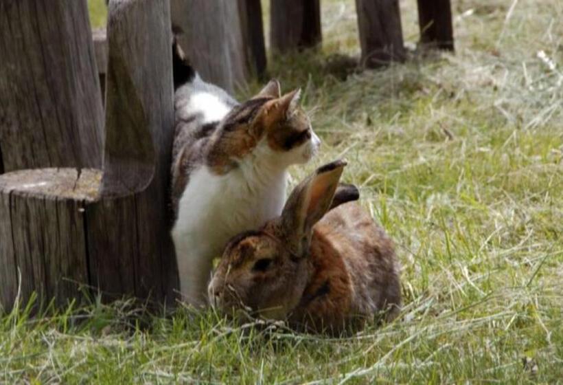 酒店 Regalterhof Eppan