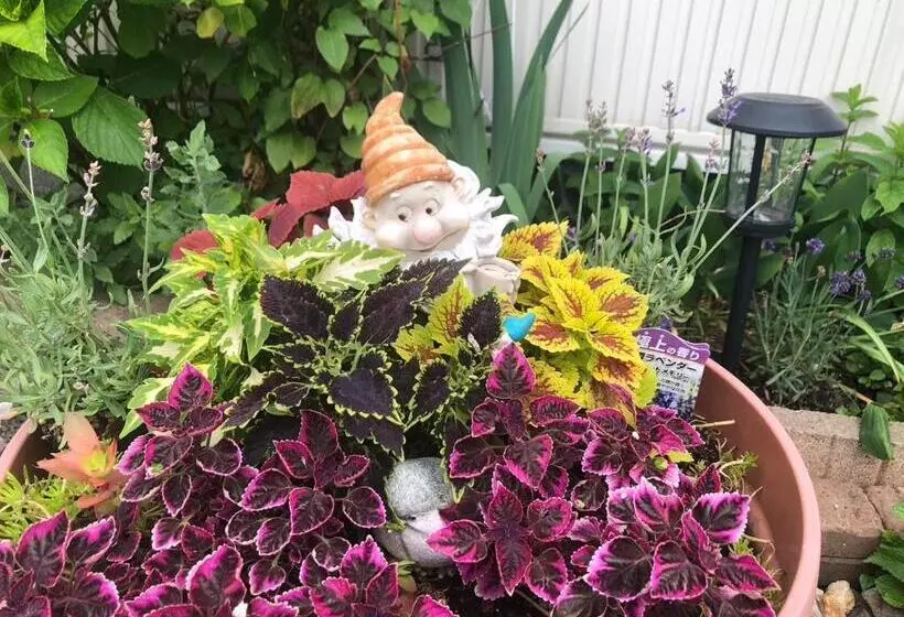 پانسیون Guest House 来夢