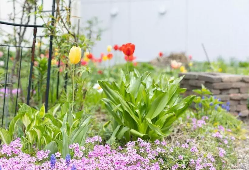 پانسیون Guest House 来夢