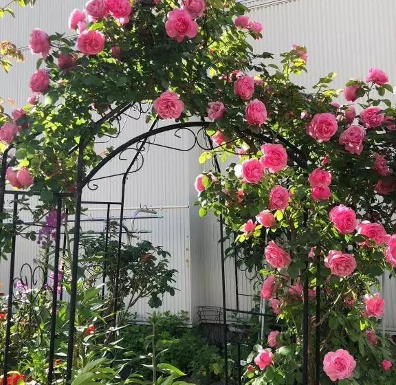 پانسیون Guest House 来夢