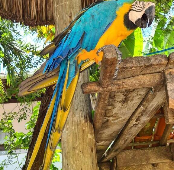 Apartamento 2 Suites Pé Na Areia Ilhéus Praia Do Sul