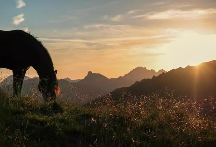 Aparthotel Almrösl Im Großarltal