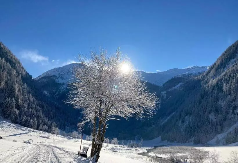 Aparthotel Almrösl Im Großarltal