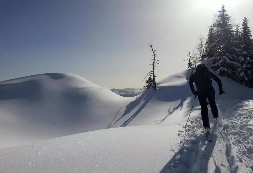 Aparthotel Almrösl Im Großarltal