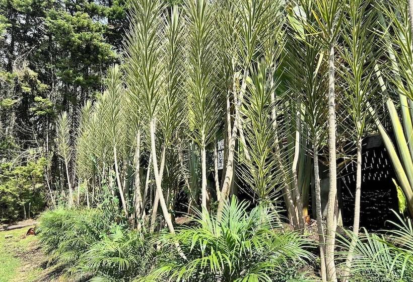 Autenthico Sajonia Hotel Aeropuerto