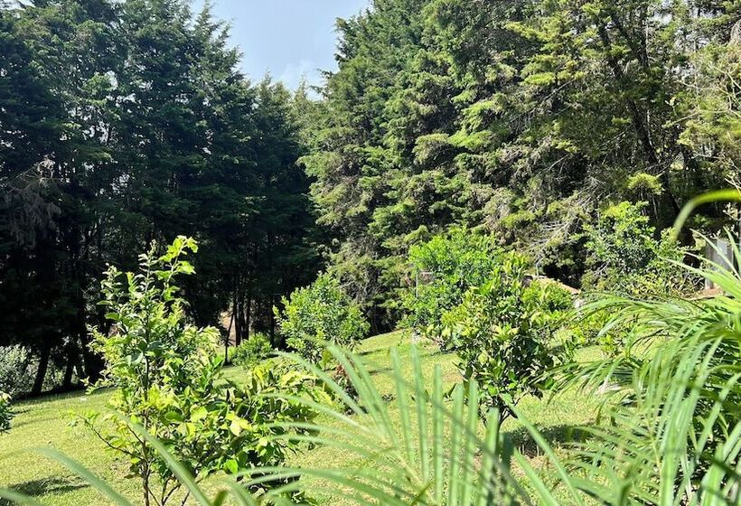 Autenthico Sajonia Hotel Aeropuerto