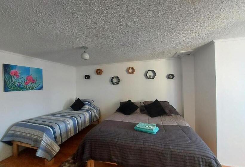 هتل Hostal Salt And Pepper