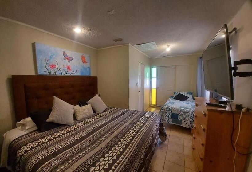 هتل Hostal Salt And Pepper