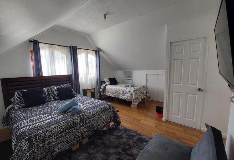 هتل Hostal Salt And Pepper