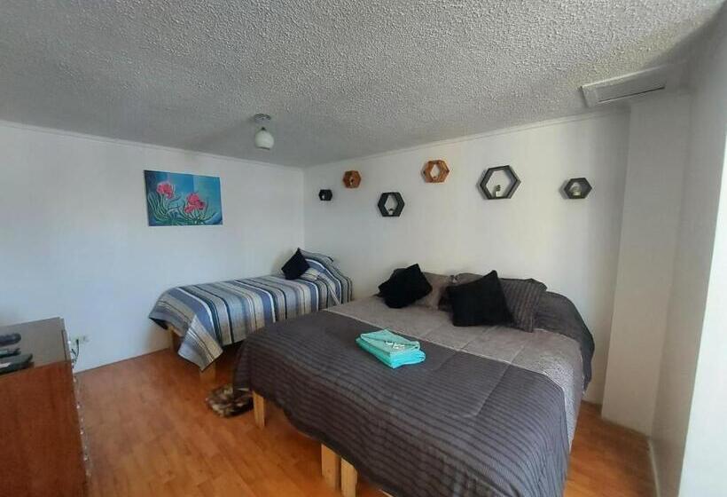 هتل Hostal Salt And Pepper