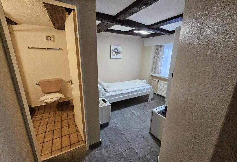 בית מלון כפרי Surselva