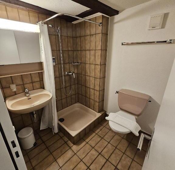 בית מלון כפרי Surselva