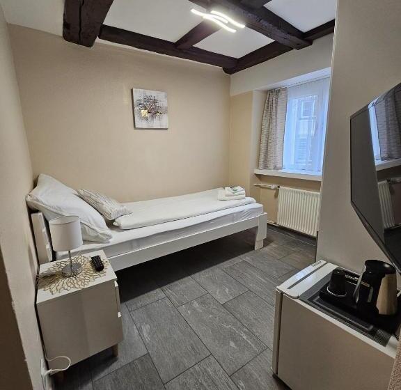 בית מלון כפרי Surselva