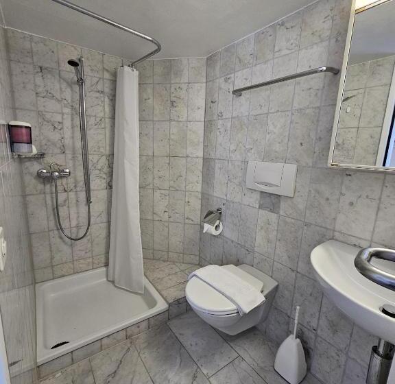 בית מלון כפרי Surselva