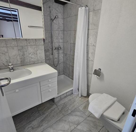 בית מלון כפרי Surselva