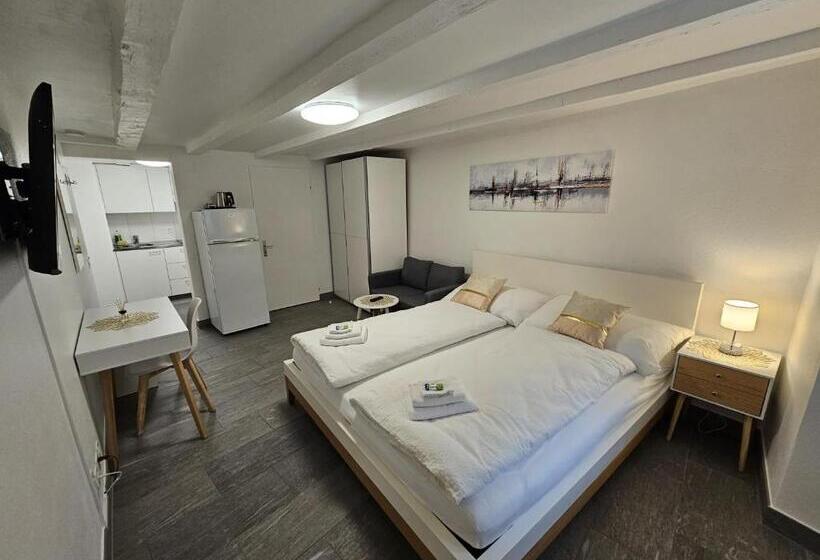 בית מלון כפרי Surselva