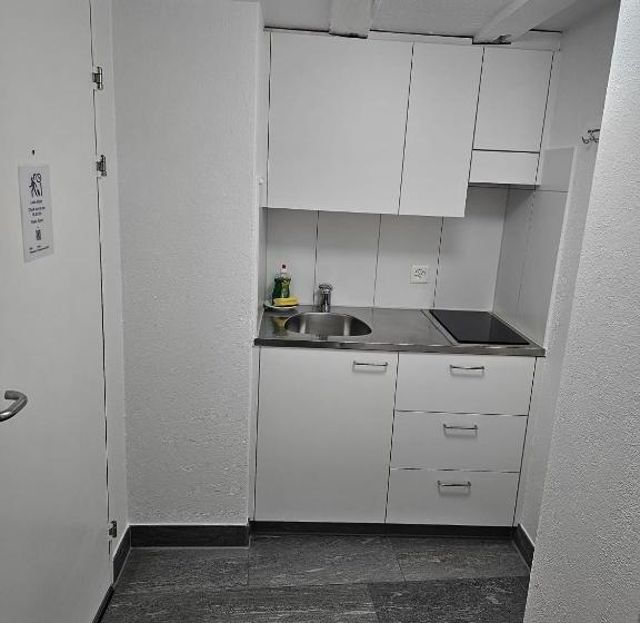 בית מלון כפרי Surselva