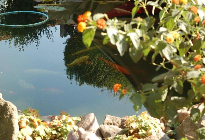 בית מלון כפרי Urlaub Unterm Storchennest Im Ostseeland Rerik