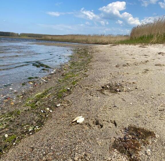 בית מלון כפרי Urlaub Unterm Storchennest Im Ostseeland Rerik