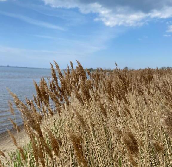 בית מלון כפרי Urlaub Unterm Storchennest Im Ostseeland Rerik