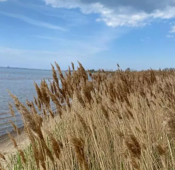 ホテル Urlaub Unterm Storchennest Im Ostseeland Rerik