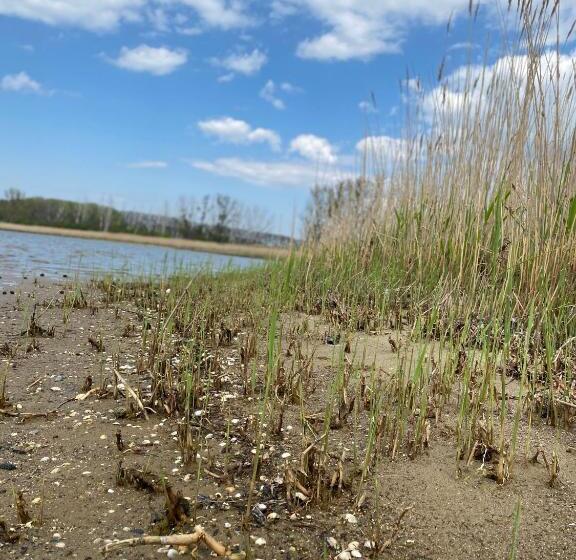 בית מלון כפרי Urlaub Unterm Storchennest Im Ostseeland Rerik