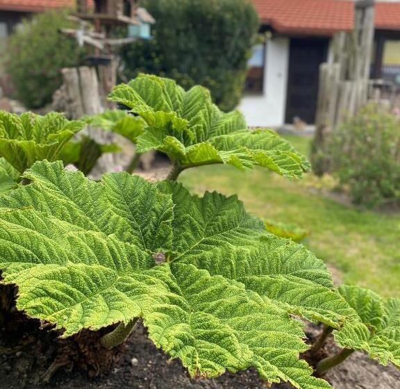 בית מלון כפרי Urlaub Unterm Storchennest Im Ostseeland Rerik