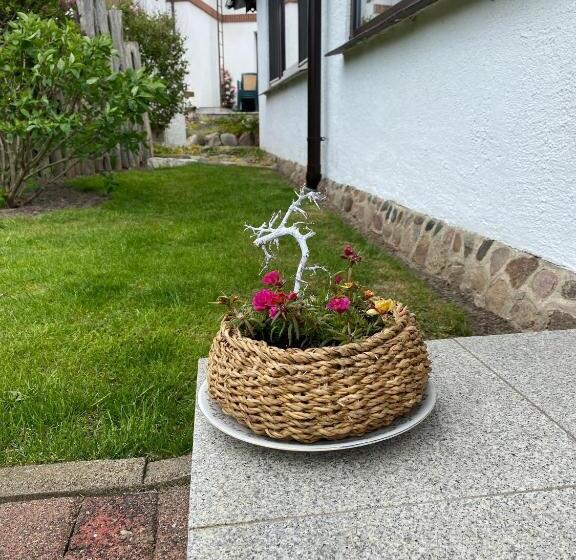 בית מלון כפרי Urlaub Unterm Storchennest Im Ostseeland Rerik