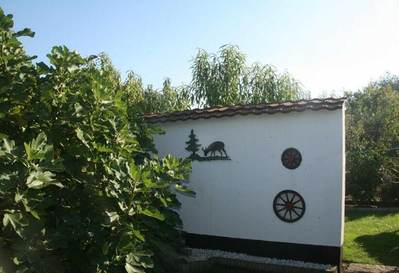 בית מלון כפרי Urlaub Unterm Storchennest Im Ostseeland Rerik