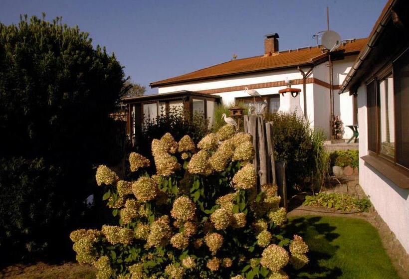 בית מלון כפרי Urlaub Unterm Storchennest Im Ostseeland Rerik