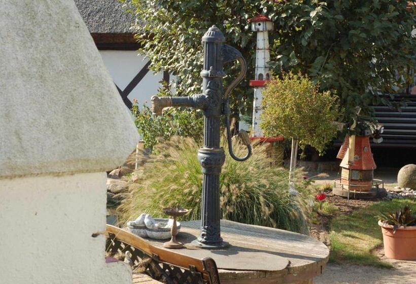 בית מלון כפרי Urlaub Unterm Storchennest Im Ostseeland Rerik