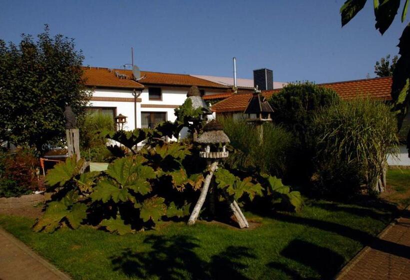 בית מלון כפרי Urlaub Unterm Storchennest Im Ostseeland Rerik