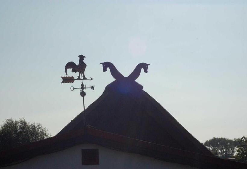 בית מלון כפרי Urlaub Unterm Storchennest Im Ostseeland Rerik