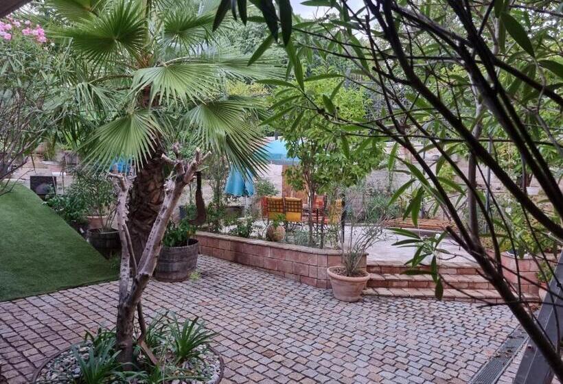 פנסיון Studio Insolite Chez L Habitant