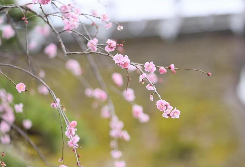料理旅館 山里料理 いそべ