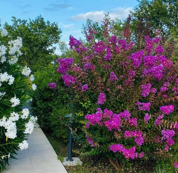 ベッドアンドブレックファースト Villa Caplanne