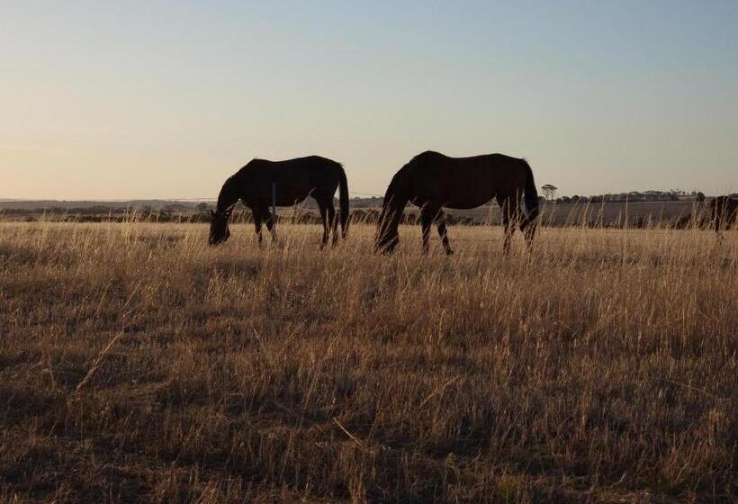 בית מלון כפרי Boshack Outback Farmstay Perth Eco Farm
