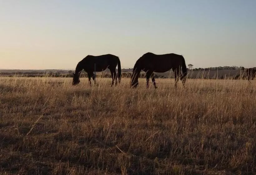 ホテル Boshack Outback Farmstay   Perth Eco Farm