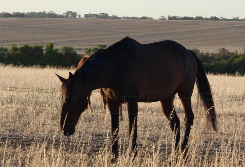 בית מלון כפרי Boshack Outback Farmstay Perth Eco Farm