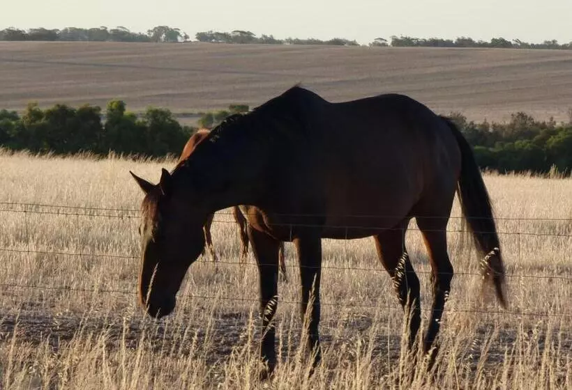 ホテル Boshack Outback Farmstay   Perth Eco Farm