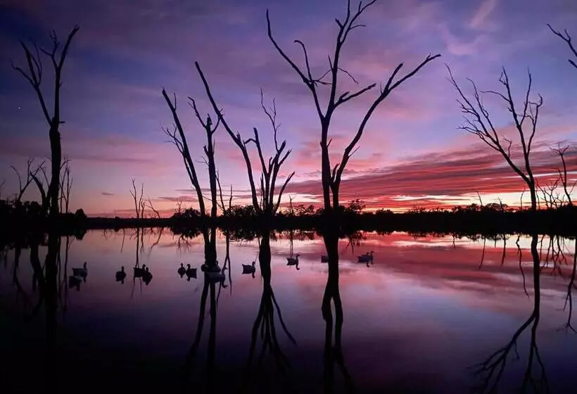 ホテル Boshack Outback Farmstay   Perth Eco Farm