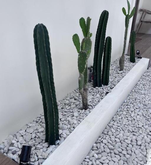 Pensione Kiwi Guest House