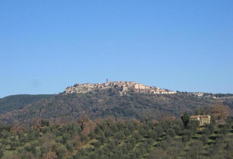بنسيون La Corte Di Ardengo