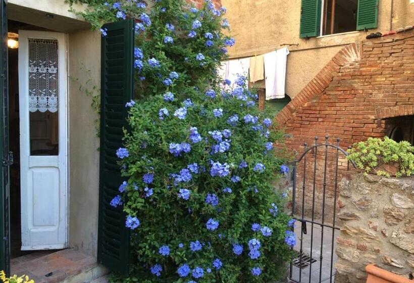 بنسيون La Corte Di Ardengo